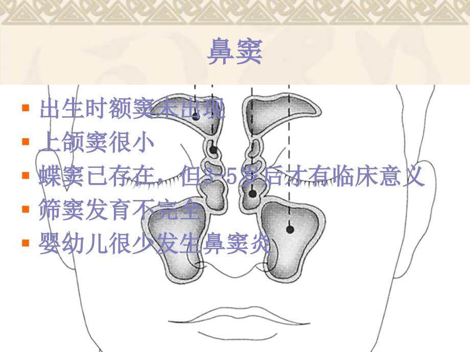 儿科呼吸系统及胸部解剖生理特点_第4页