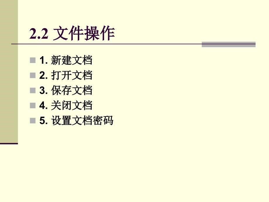 中文字处理软件W.ppt_第5页