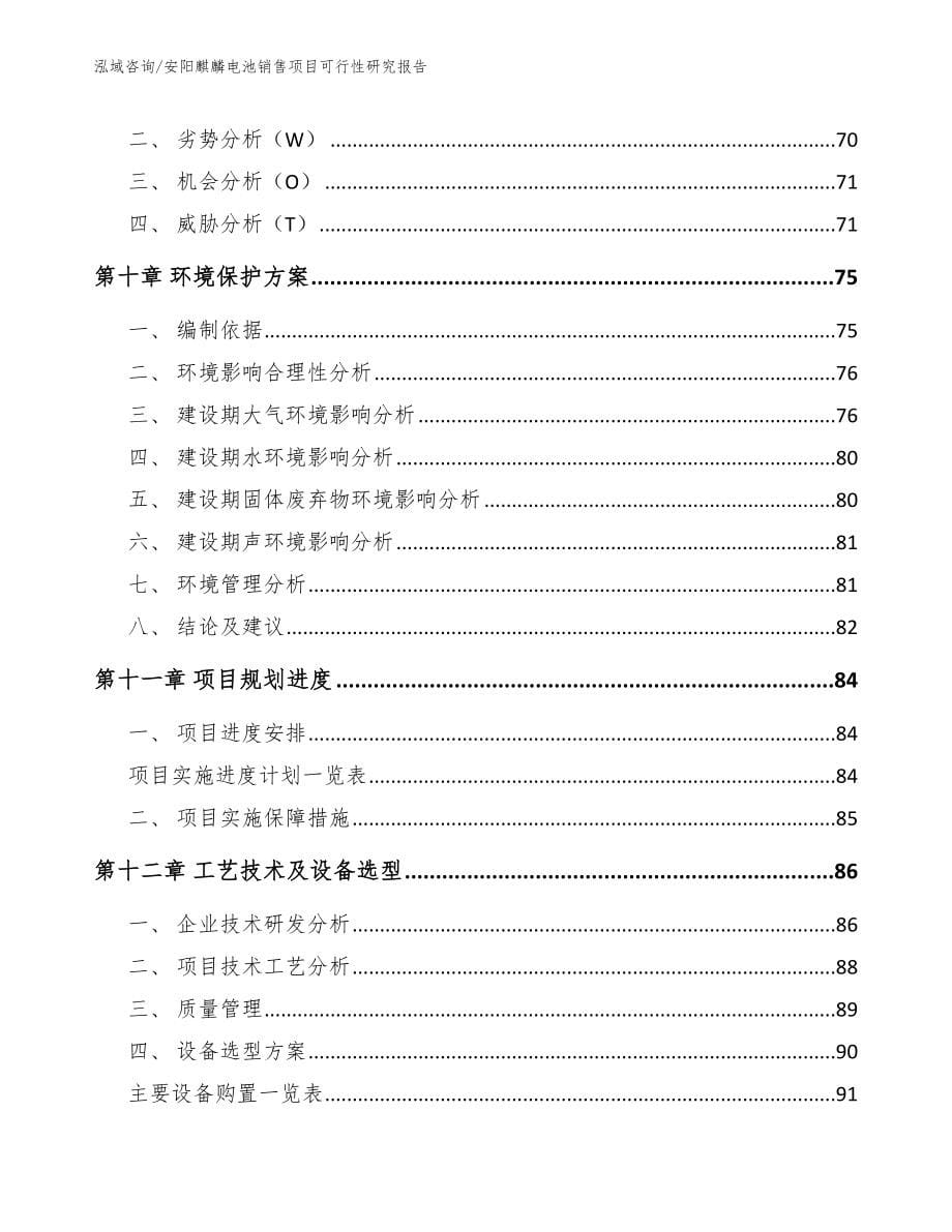 安阳麒麟电池销售项目可行性研究报告【参考范文】_第5页