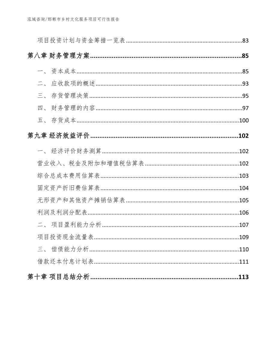 邯郸市乡村文化服务项目可行性报告【模板范本】_第5页