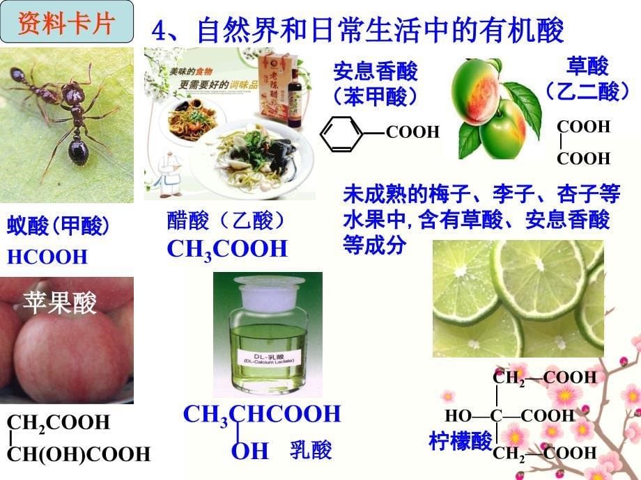 高中化学选修5第三章第三节__羧酸_酯_课件_第5页