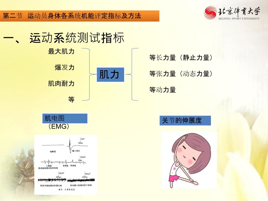 17运动机能的生理学评定_第3页