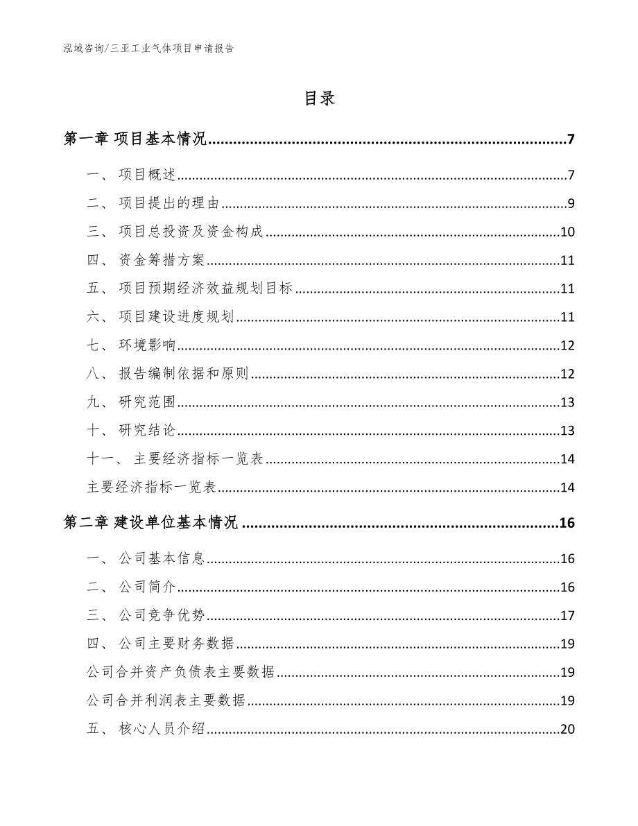 三亚工业气体项目申请报告_第1页