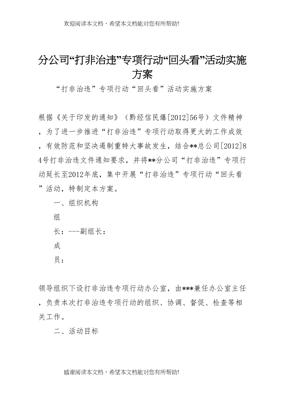 2022年分公司打非治违专项行动回头看活动实施方案_第1页