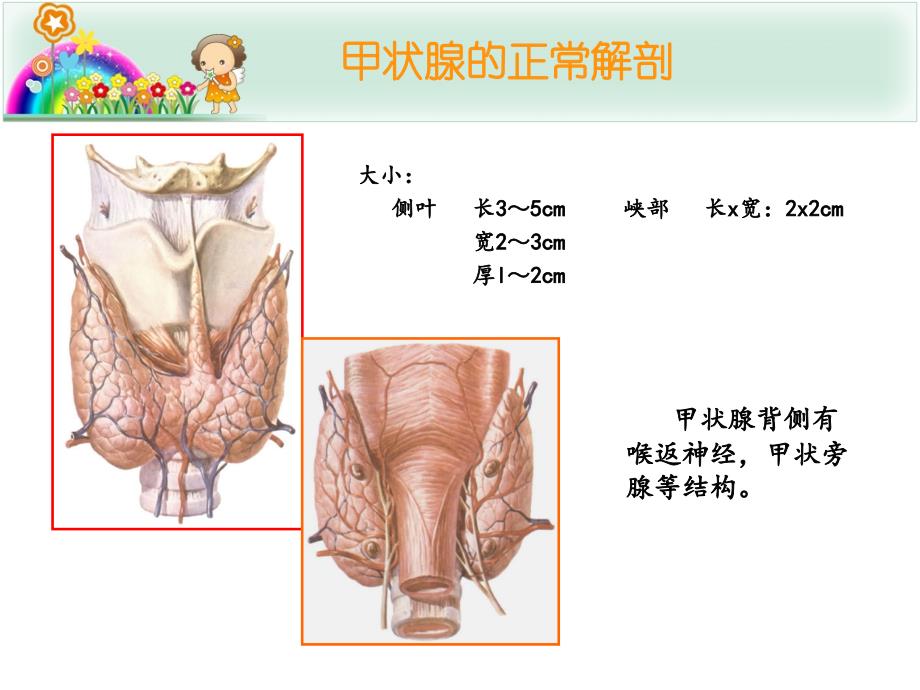 甲状腺结节的超声诊断与鉴别_第3页