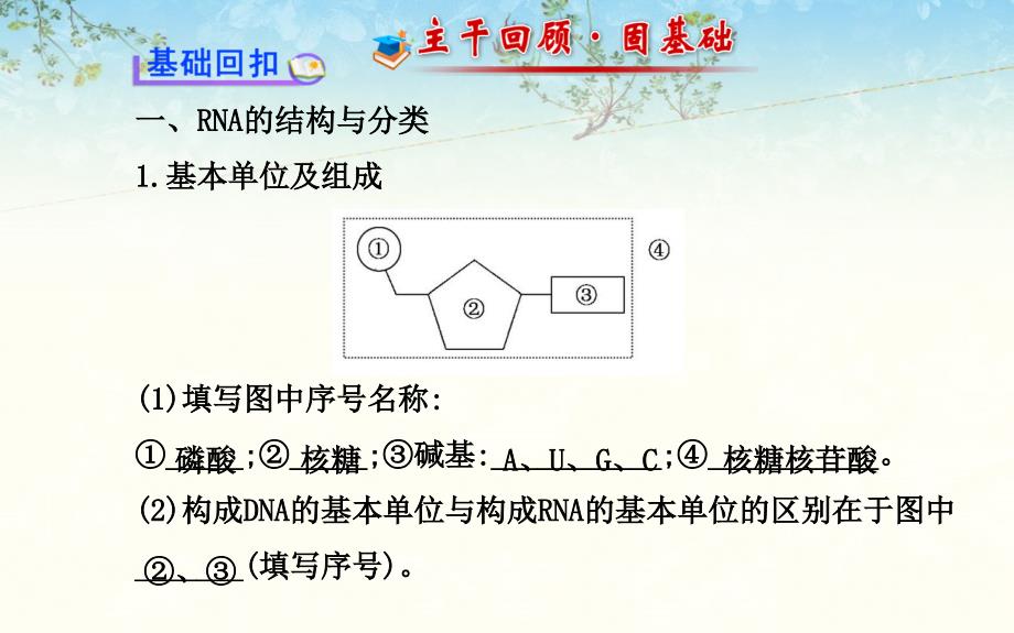 高三生物金榜频道一轮课件必修基因的表达_第4页