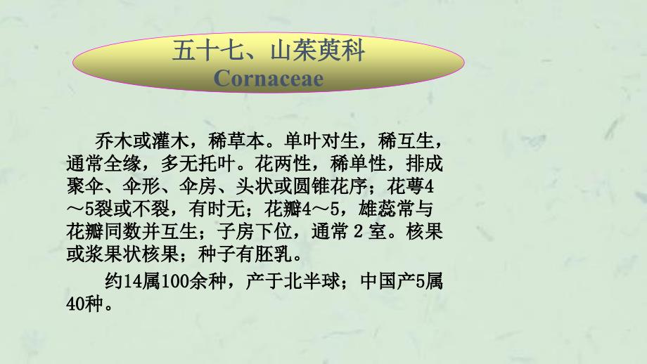 园林植物山茱萸科Cornacea课件_第1页