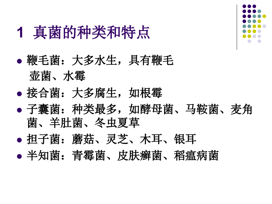 真菌及植物的进化PPT课件_第3页