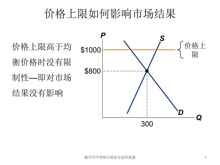 微观经济学供给需求与政府政策课件_第5页