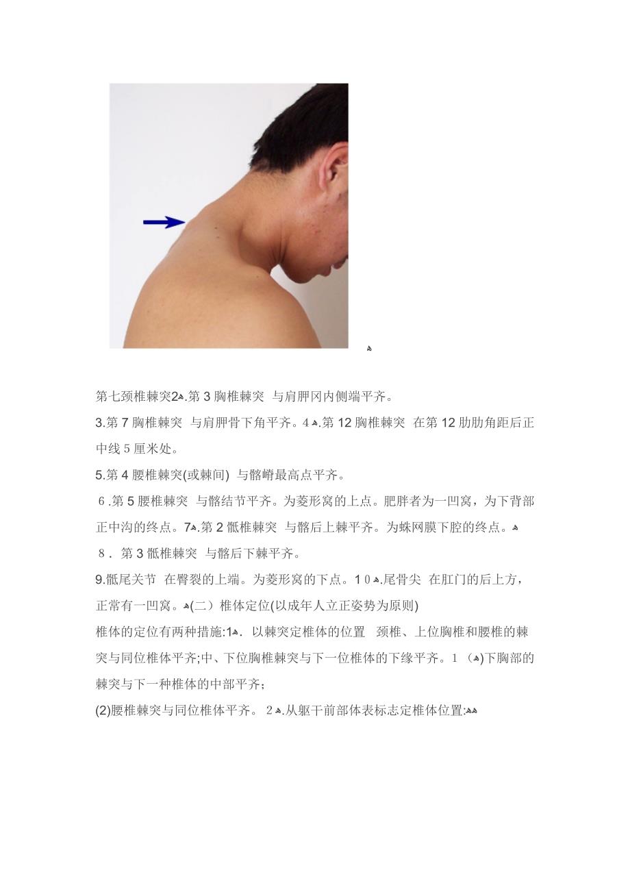 脊柱的棘突与椎体的定位_第3页