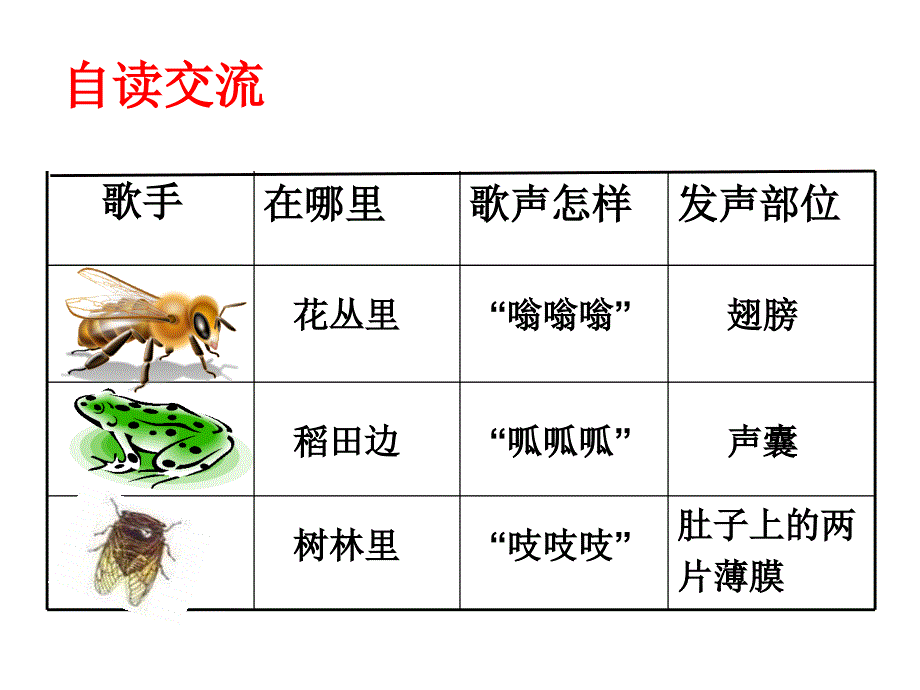 第20课不用嗓子的歌手课件3_第3页