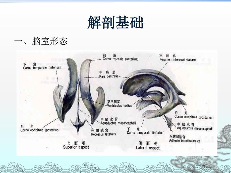 侧脑室穿刺术及脑脊液引流_第2页