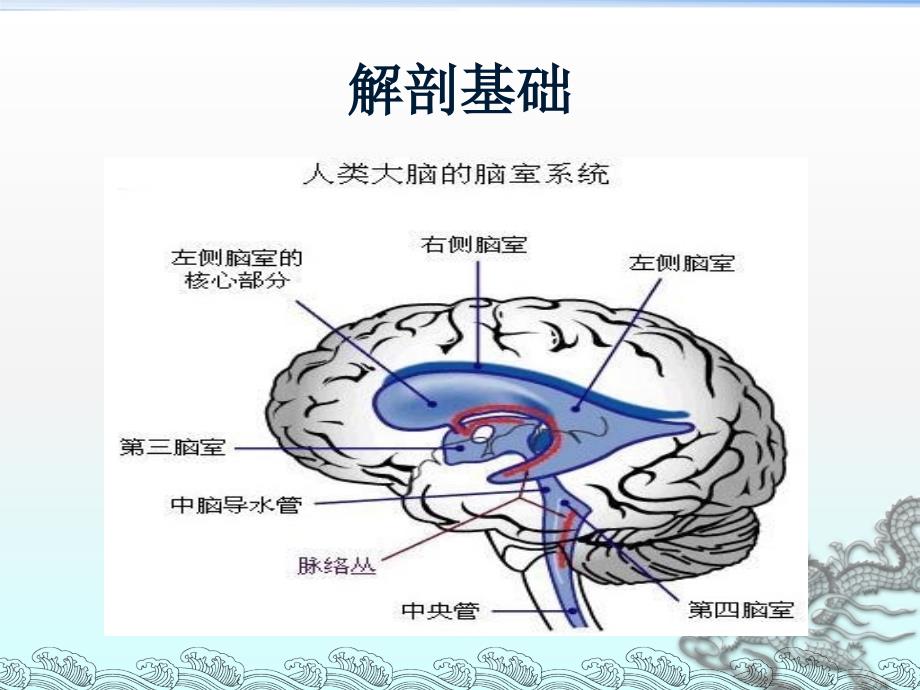 侧脑室穿刺术及脑脊液引流_第3页