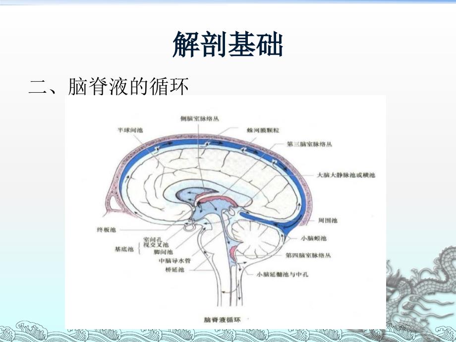 侧脑室穿刺术及脑脊液引流_第4页