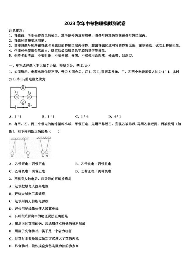 山东省临清市重点中学2023年中考物理考前最后一卷（含答案解析）.doc