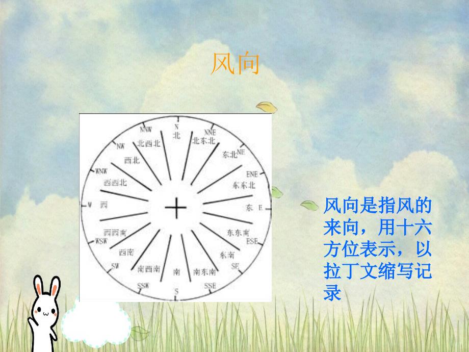 三年级科学上册我的风向标课件青岛版_第3页