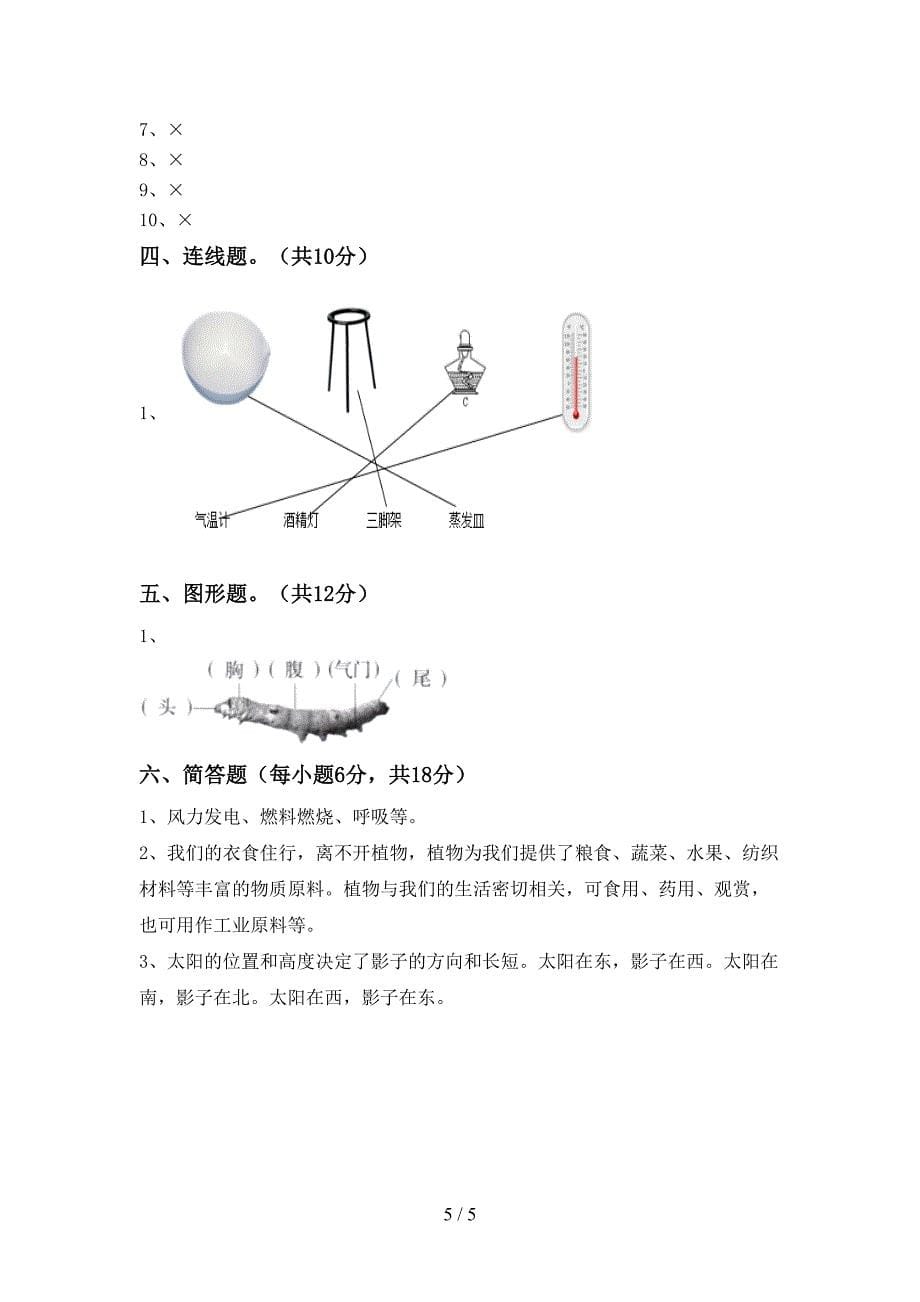 2022-2023年人教版三年级科学下册期中测试卷及答案【审定版】.doc_第5页