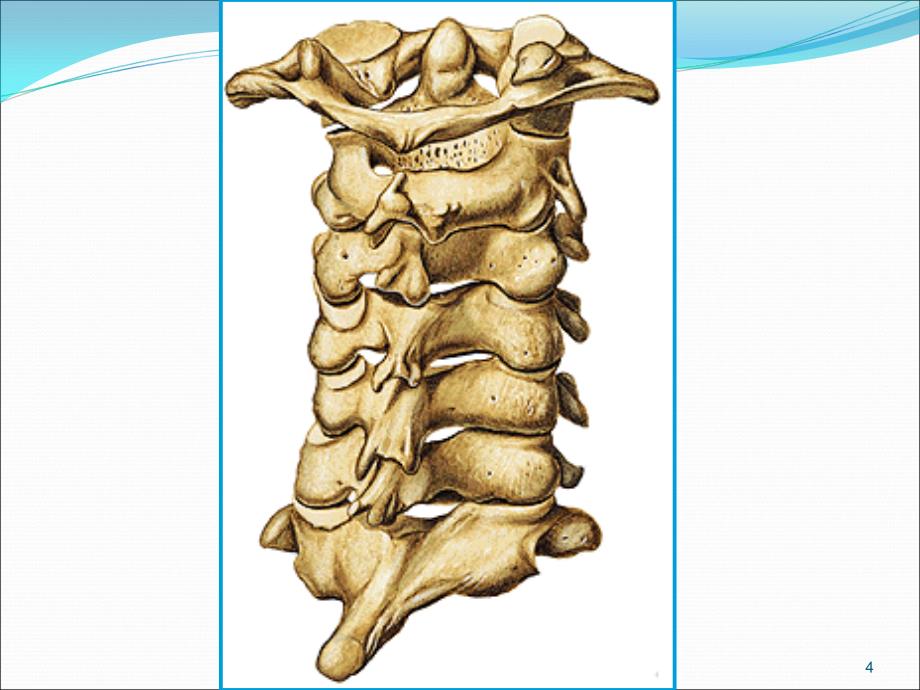 颈椎病诊疗ppt课件1_第4页