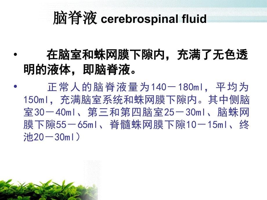 脑脊液耳漏PowerPoint 演示文稿_第5页