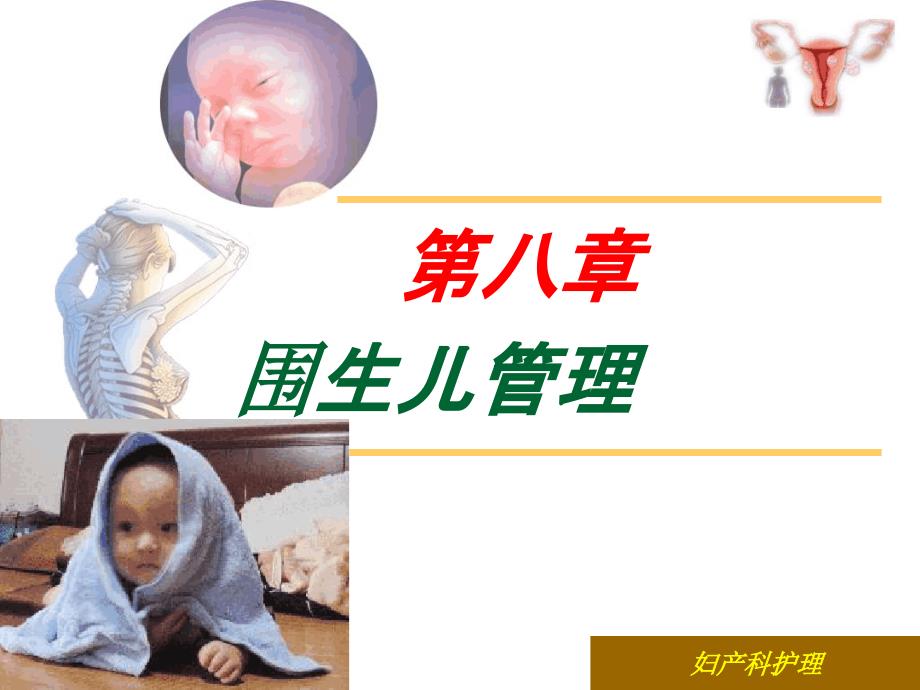 8围生儿管理精编版_第1页
