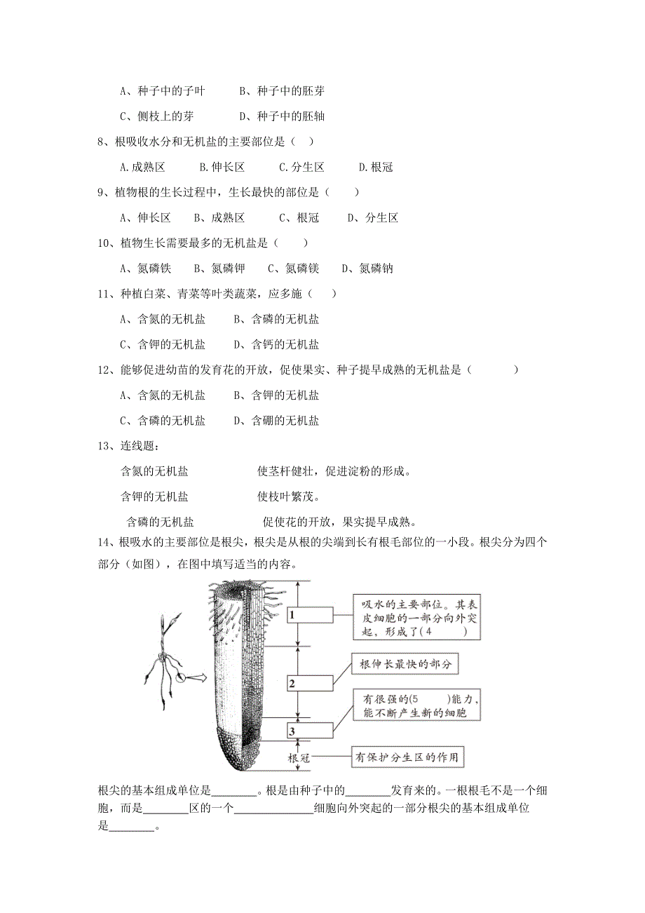 精选类七年级生物上册第二节植株的生长导学案无答案新人教版_第3页