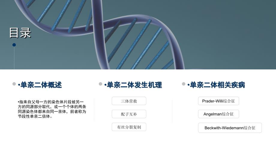 单亲二体产前诊断中心ppt课件_第2页