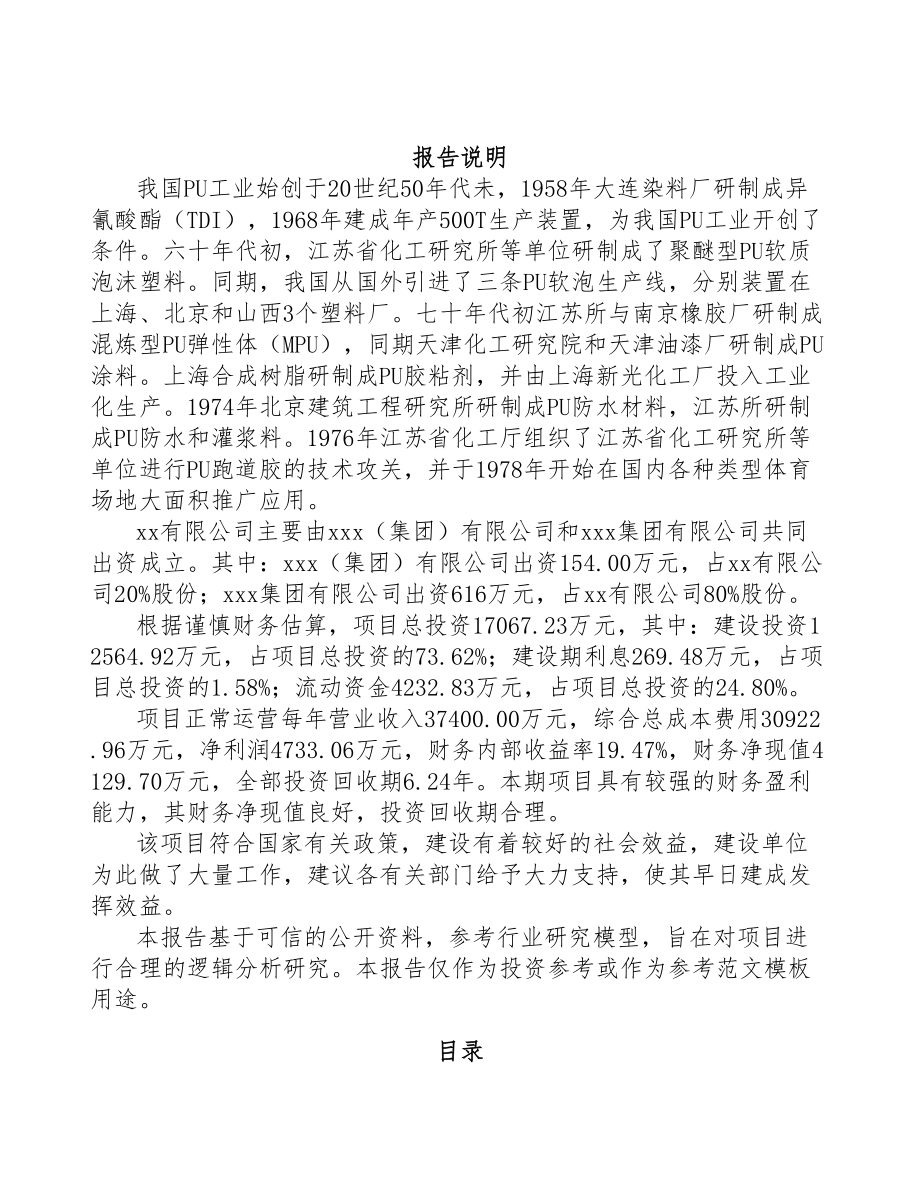 成立年产xxx吨聚氨酯材料公司运营方案(DOC 76页)_第2页