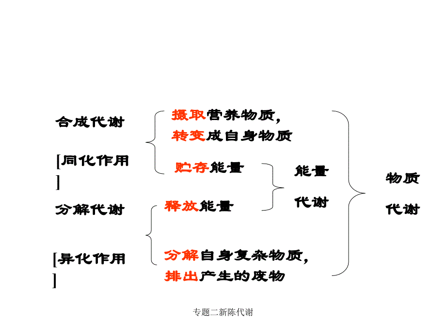 专题二新陈代谢课件_第3页