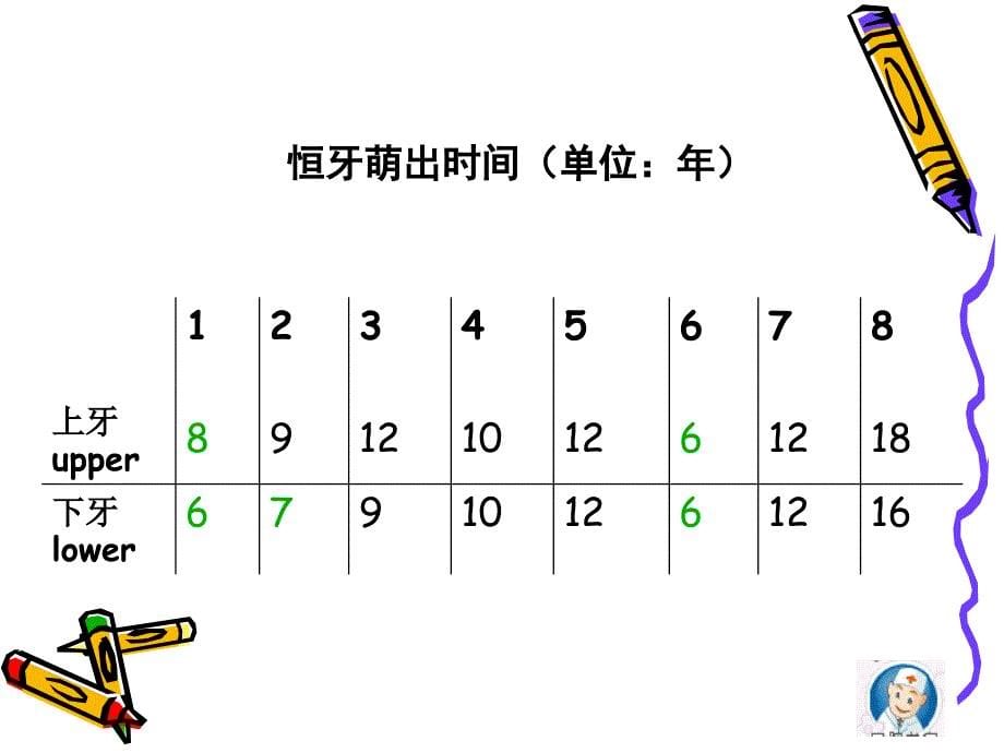 认识牙齿PPT课件_第5页