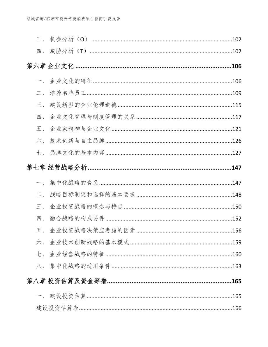 临湘市提升传统消费项目招商引资报告_范文_第5页