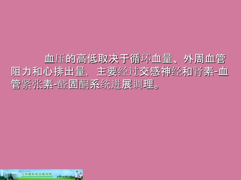 抗高血压药物和利尿药ppt课件_第3页