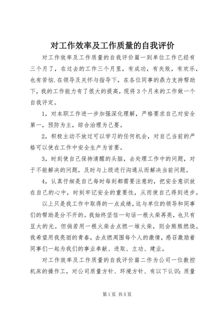 2023年对工作效率及工作质量的自我评价.docx_第1页