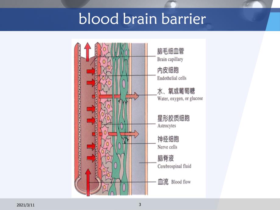 脑脊液浆膜腔积液检查_第3页