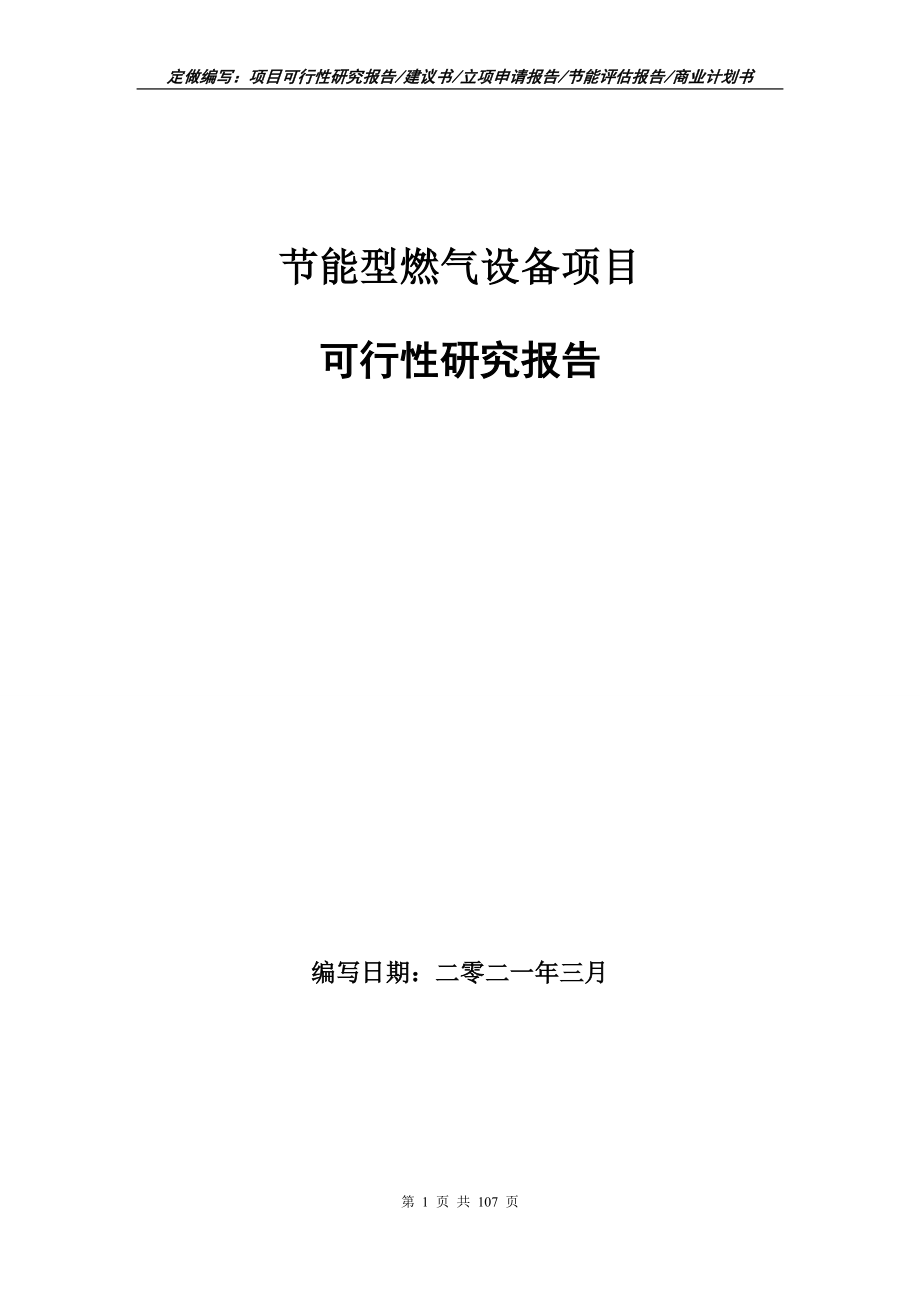 节能型燃气设备项目可行性研究报告写作范本_第1页