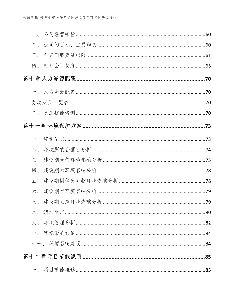 贵阳消费电子防护性产品项目可行性研究报告【模板范文】_第3页