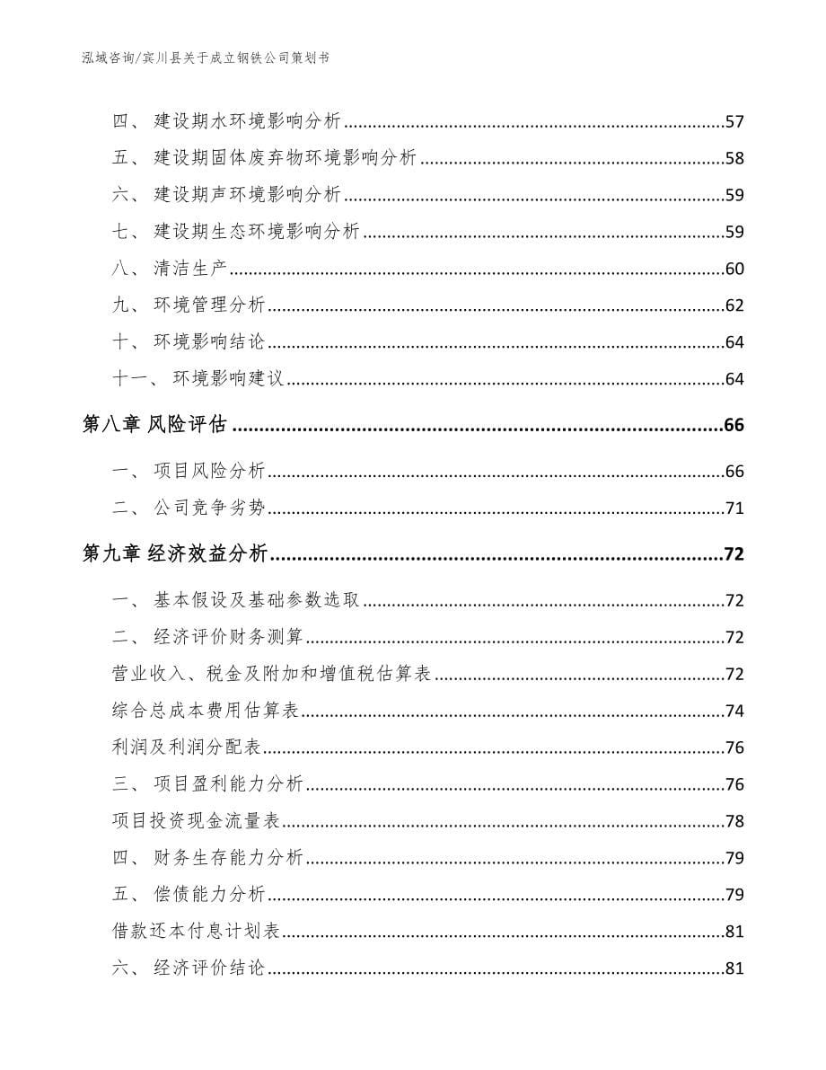 宾川县关于成立钢铁公司策划书模板_第5页