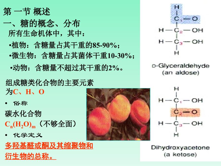 1糖化学生化全解_第4页