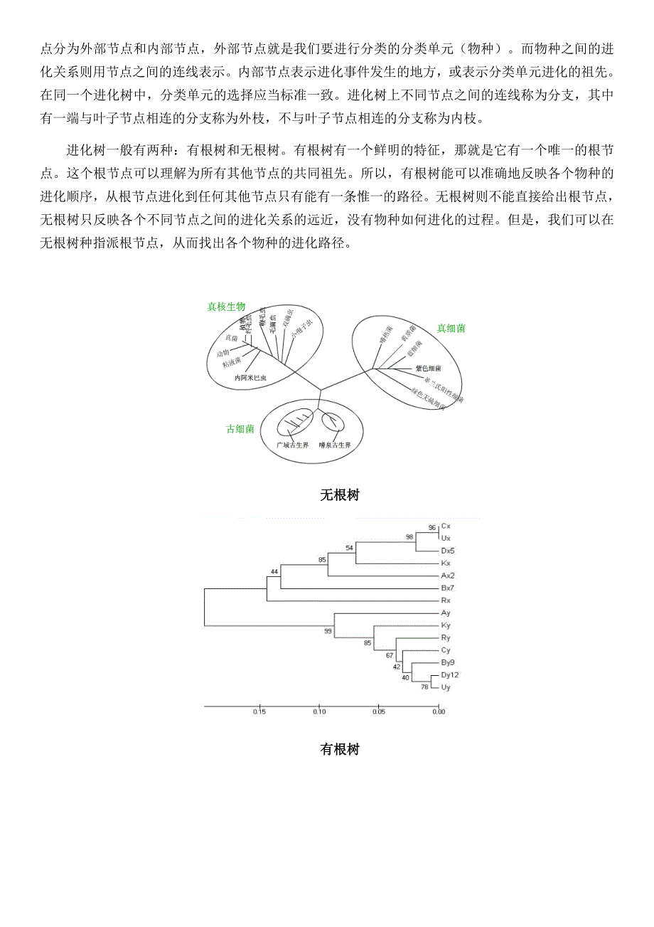 几款软件构建生物进化树的方法比较_第3页