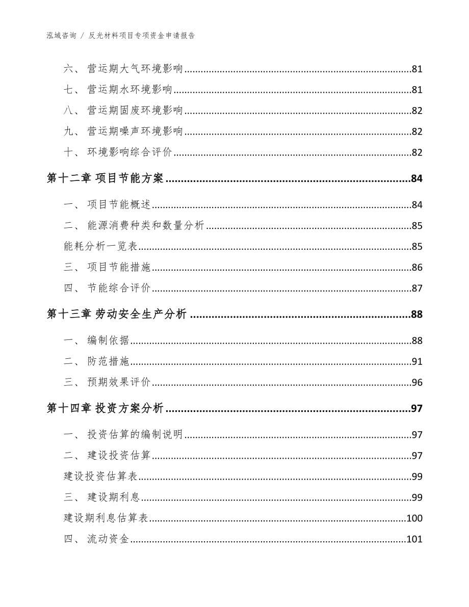 反光材料项目专项资金申请报告_第5页