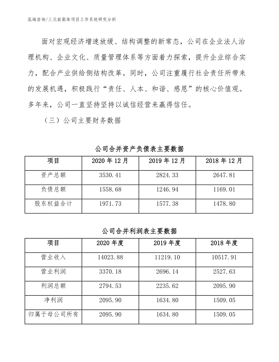 三元前驱体项目工作系统研究分析_第4页