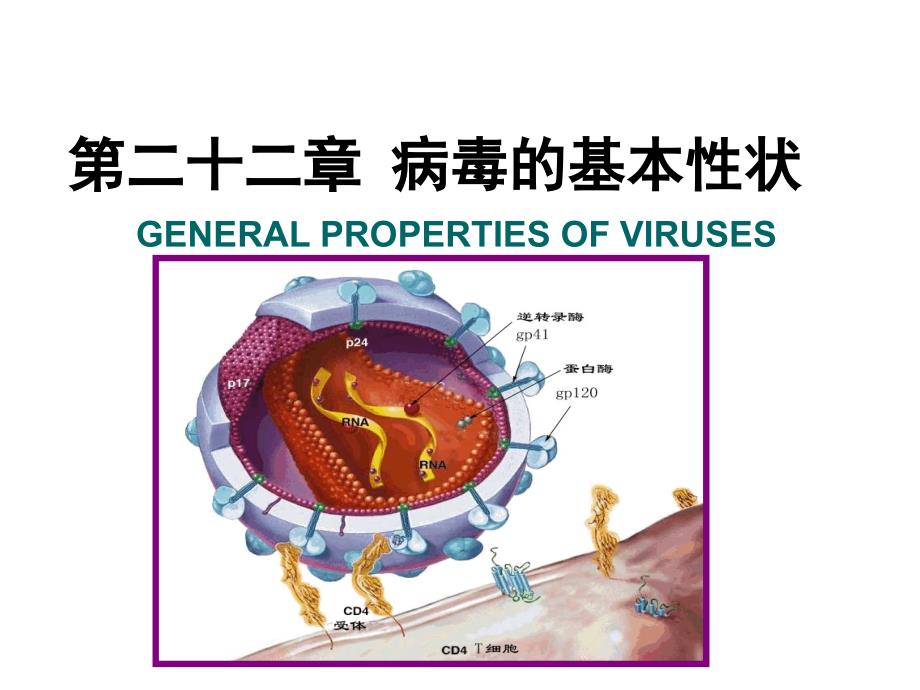 医学微生物学：第22章 病毒的基本性状_第1页