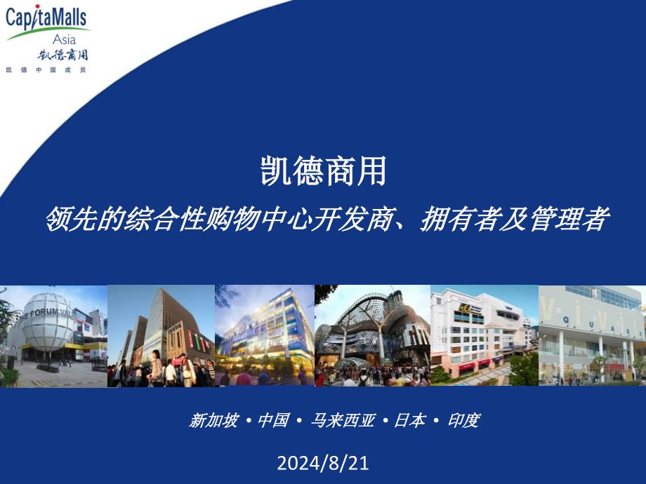 北京凯德置地大悦城市场调研报告_第1页