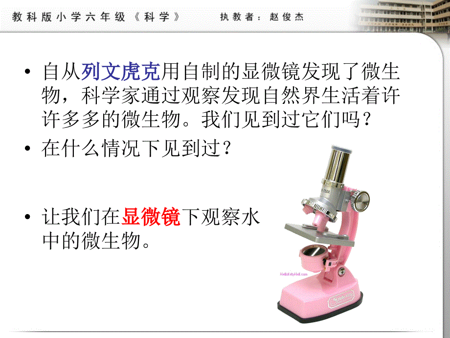 17用显微镜观察身边的生命世界三_第3页