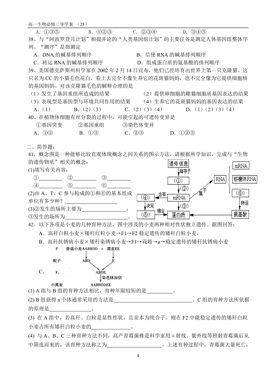 第四章遗传的分子基础单元测试(25).doc_第4页