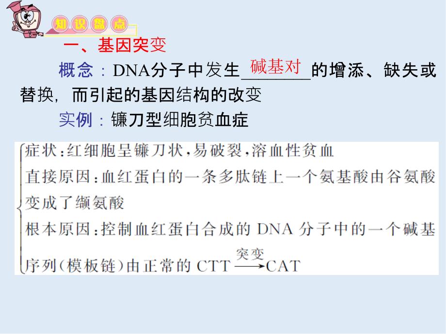 教学导航高三生物必修2复习课件：第18讲 基因突变、基因重组和染色体变异_第3页