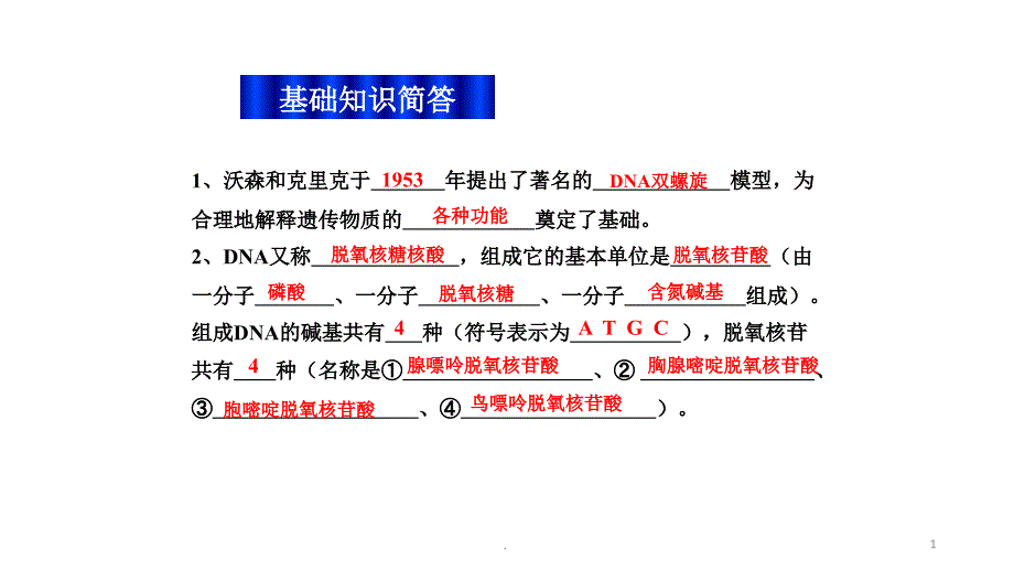 DNA分子的结构碱基的计算优秀课件_第1页