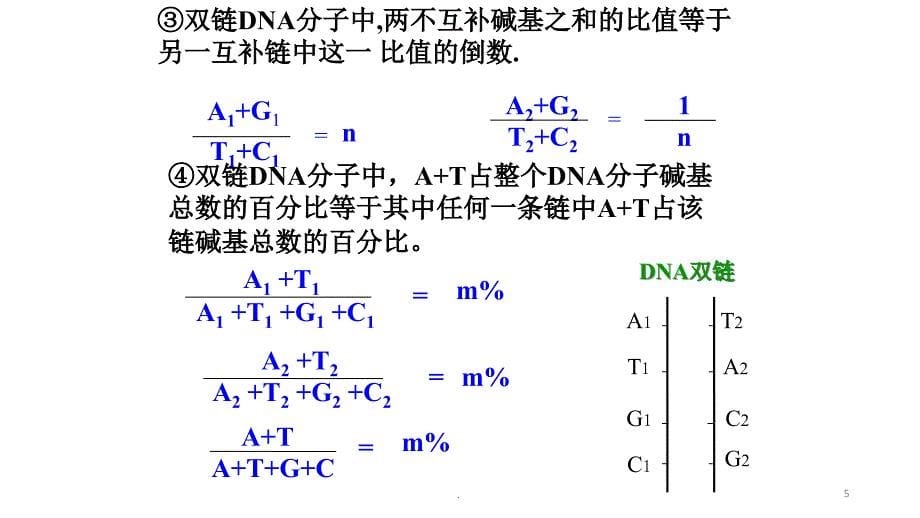 DNA分子的结构碱基的计算优秀课件_第5页