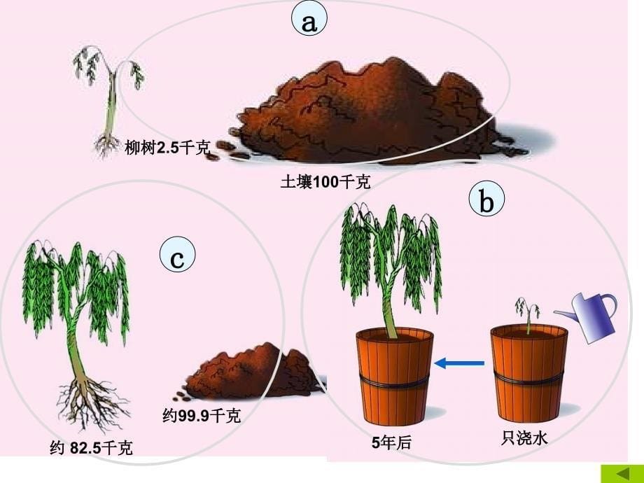 第一节++光合作用的发现+课件_第5页