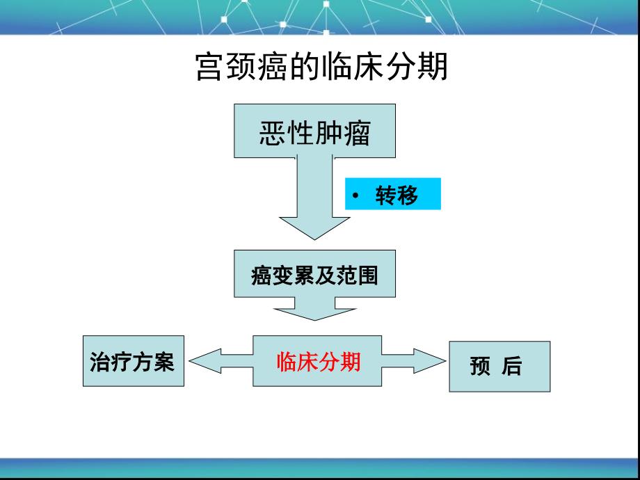 子宫颈癌的临床分期_第3页