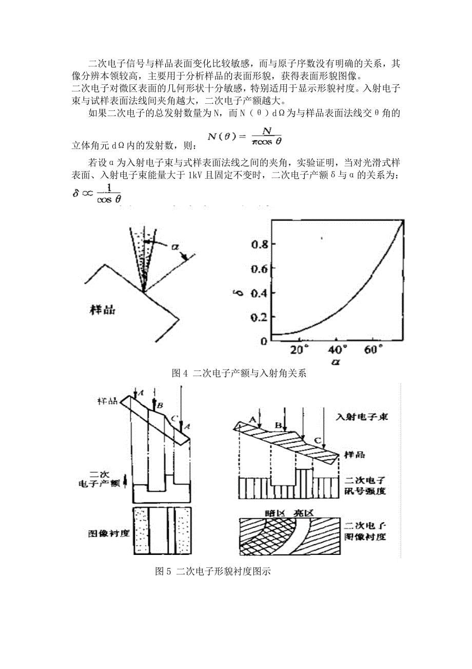 扫描电子显微镜_第5页